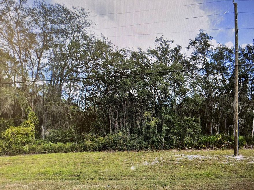 Wooded 2.8 Acres, located on Hwy 50 (Cortez Blvd) between US 301 and I-75.  This is a 4 lane Hwy. Property can be rezoned for commercial use. But,  Highest and best use is to build between 20-40 condo/apt./town house units on it. 45 minutes from down town Tampa, and 45 minutes from Orlando. High elevation, 5 minutes to I-75.