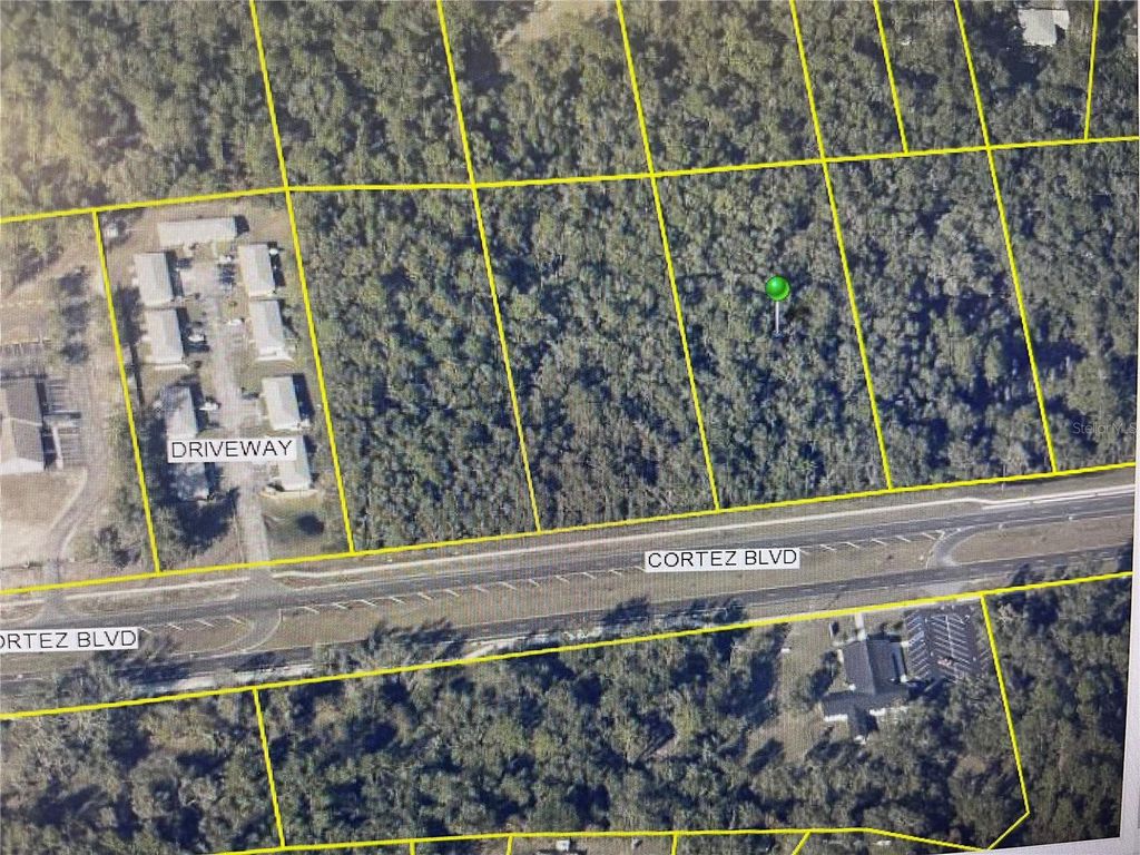 Photo of 34365 Cortez Boulevard, Dade City, FL 33523 (MLS # T3509406)