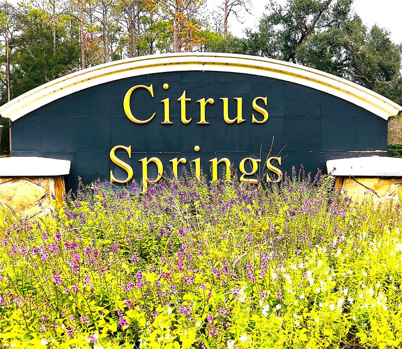 CITRUS SPRINGS UNIT 03 - Residential