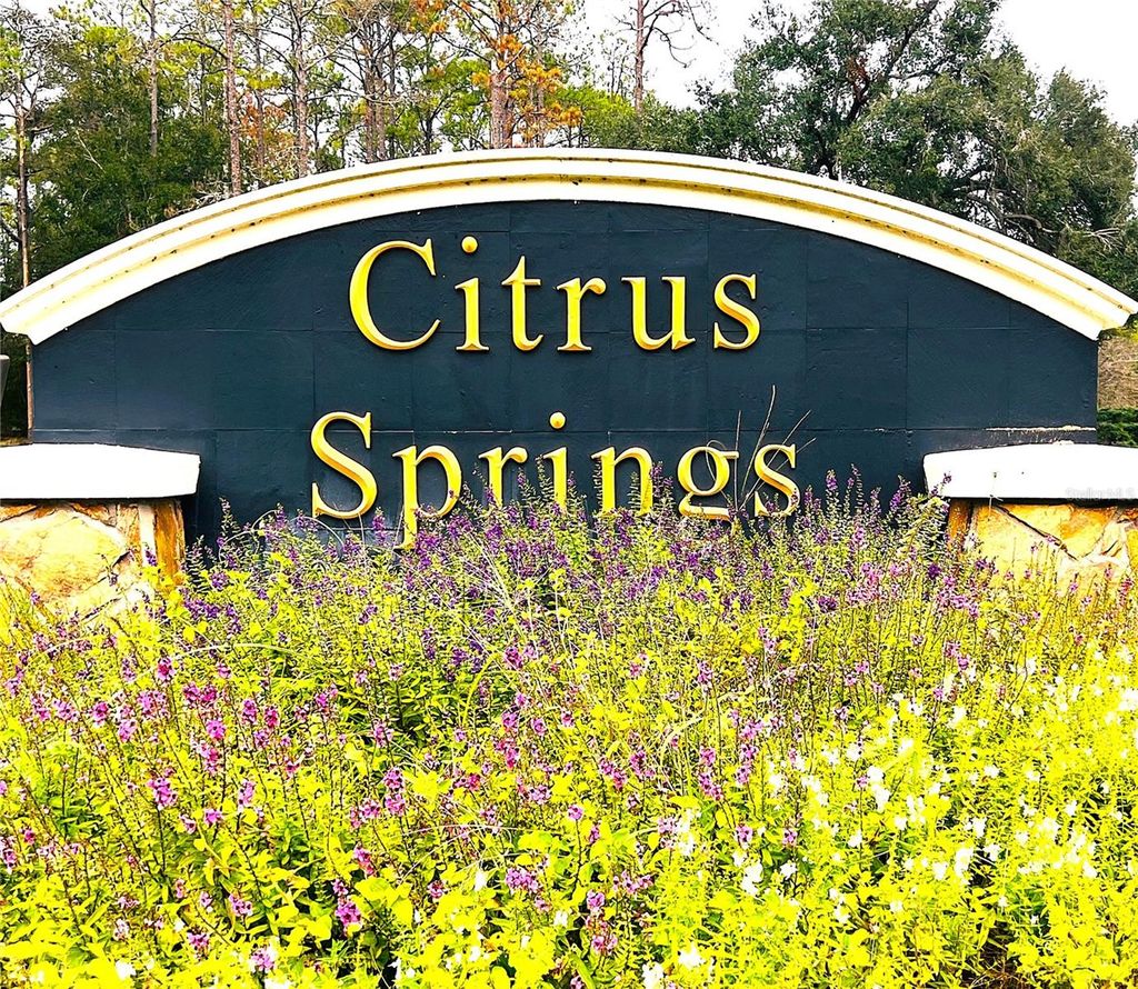 Photo of 3637 W Wilhelm Street, Citrus Springs, FL 34433 (MLS # OM717066)