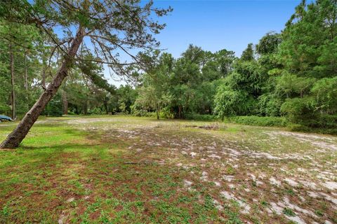 A home in DELAND