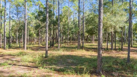 Tiny photo for 24250 Deep Springs Loop, Eustis, FL 32736 (MLS # O6367118)