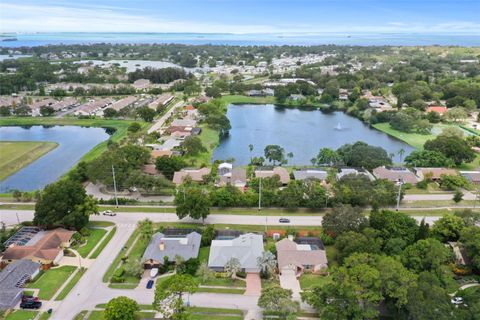 A home in PALM HARBOR