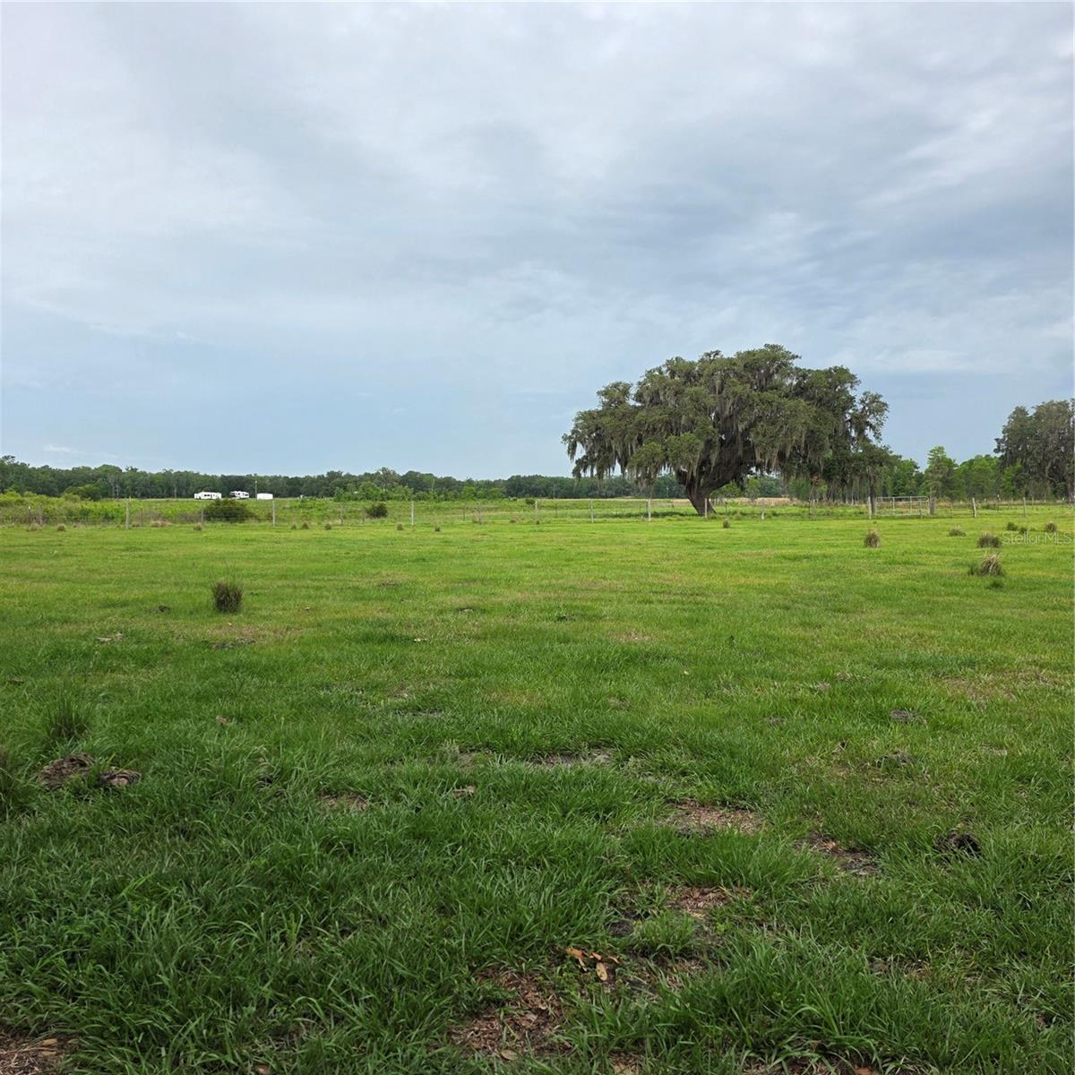 VERNON DAIRY