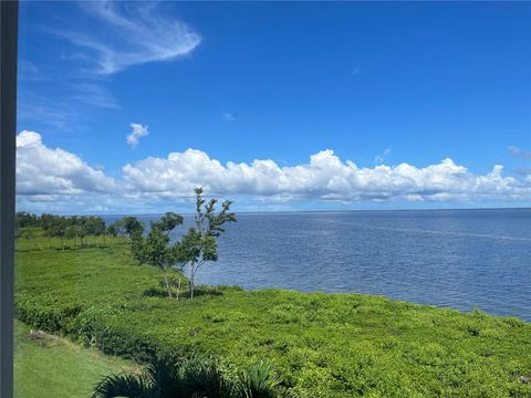 A home in PUNTA GORDA