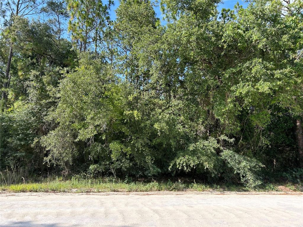 Photo of Tbd SE 140 Avenue, Morriston, FL 32668 (MLS # OM711931)