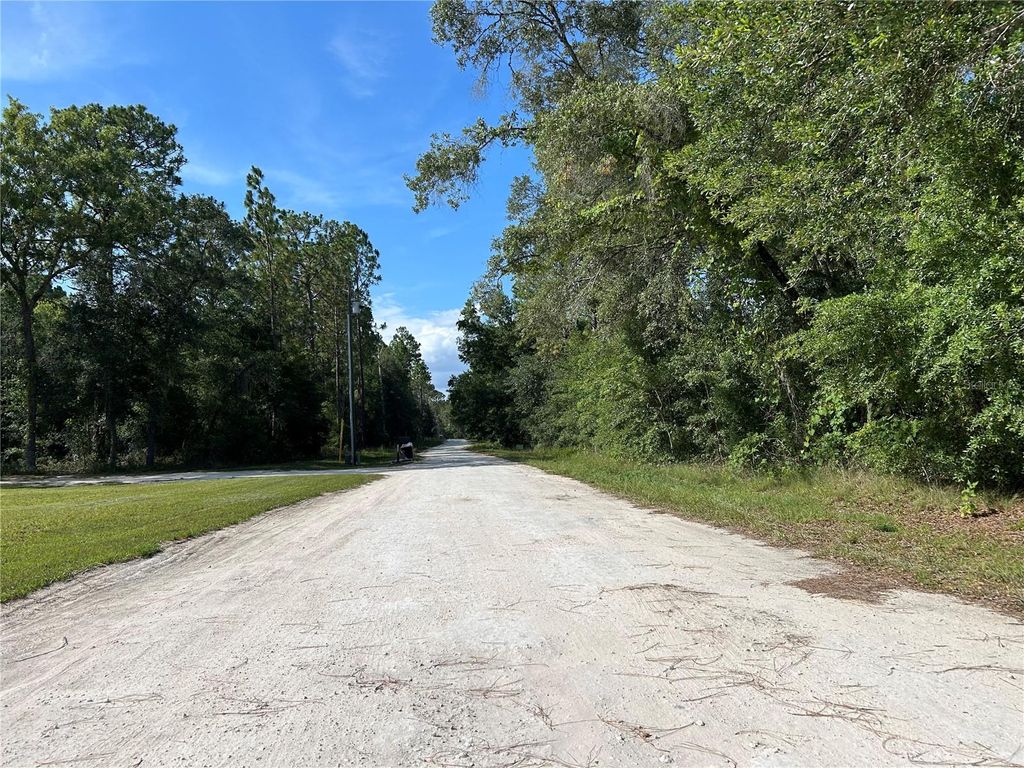 Photo of Tbd SE 140 Avenue, Morriston, FL 32668 (MLS # OM711931)