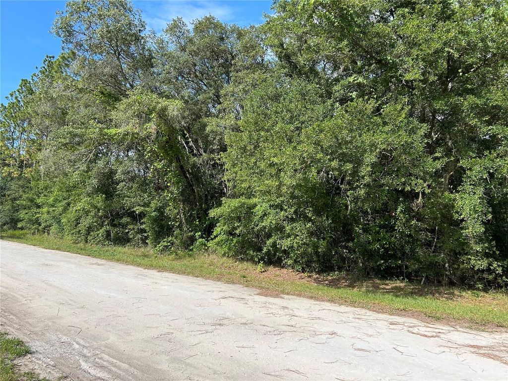 Photo of Tbd SE 140 Avenue, Morriston, FL 32668 (MLS # OM711931)