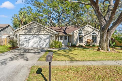 7440 MINT JULEP DRIVE RIVERVIEW FL 33578