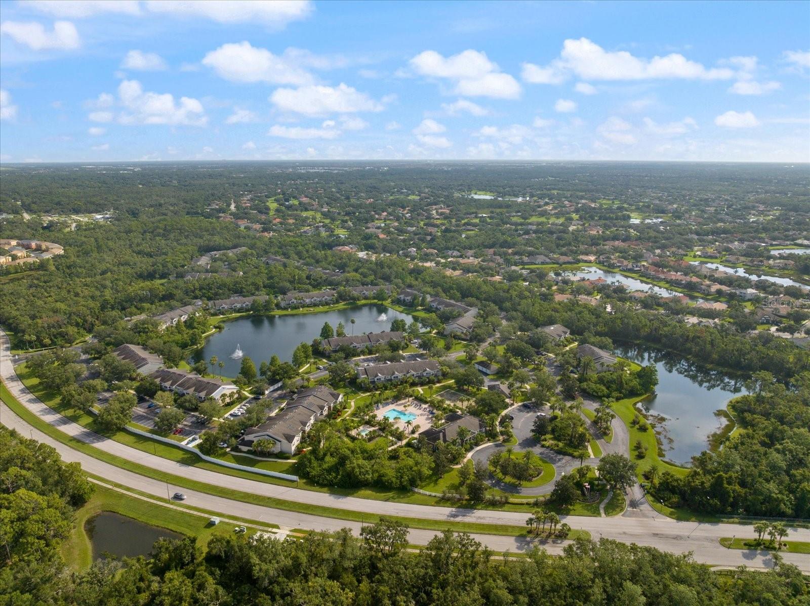 THE VILLAGE AT TOWNPARK - Residential