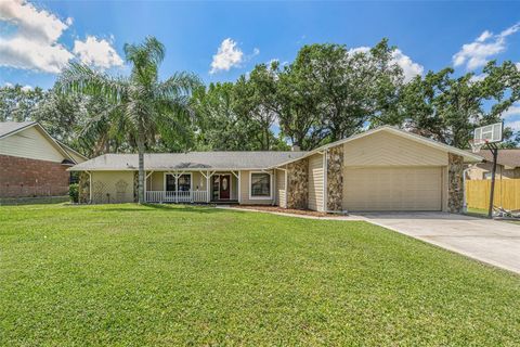 823 SCENIC HEIGHTS DRIVE BRANDON FL 33511