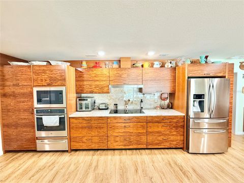 Tiny photo for 209 W Delaware Street, Tavares, FL 32778 (MLS # G5114162)