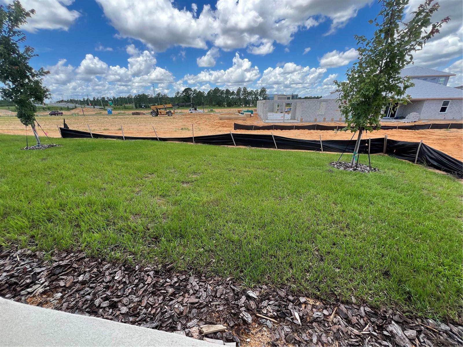 HILLS OF MINNEOLA - Residential
