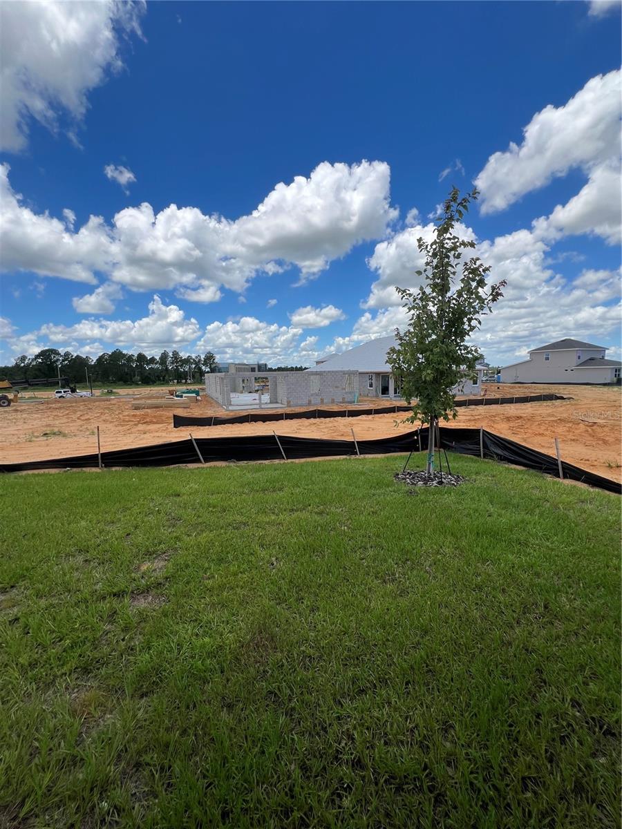 HILLS OF MINNEOLA - Residential