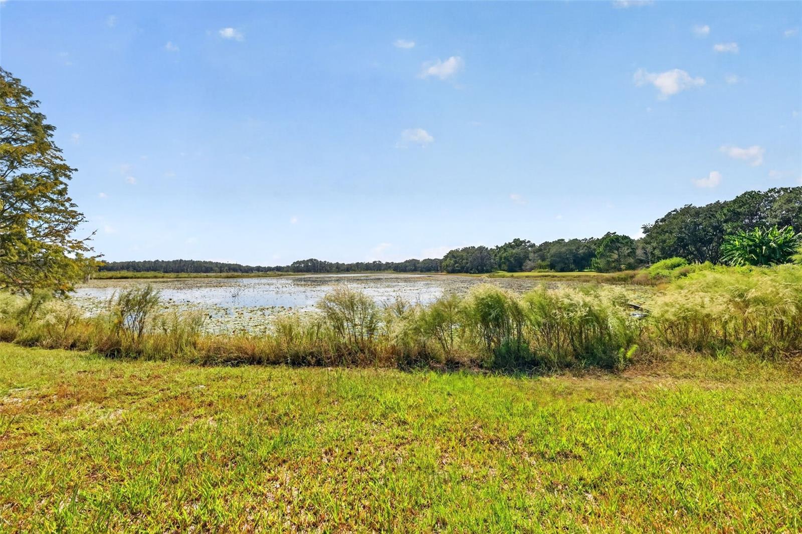 1440 SELMAN ROAD