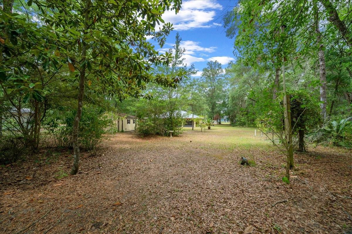 CITRUS SPRINGS - Residential