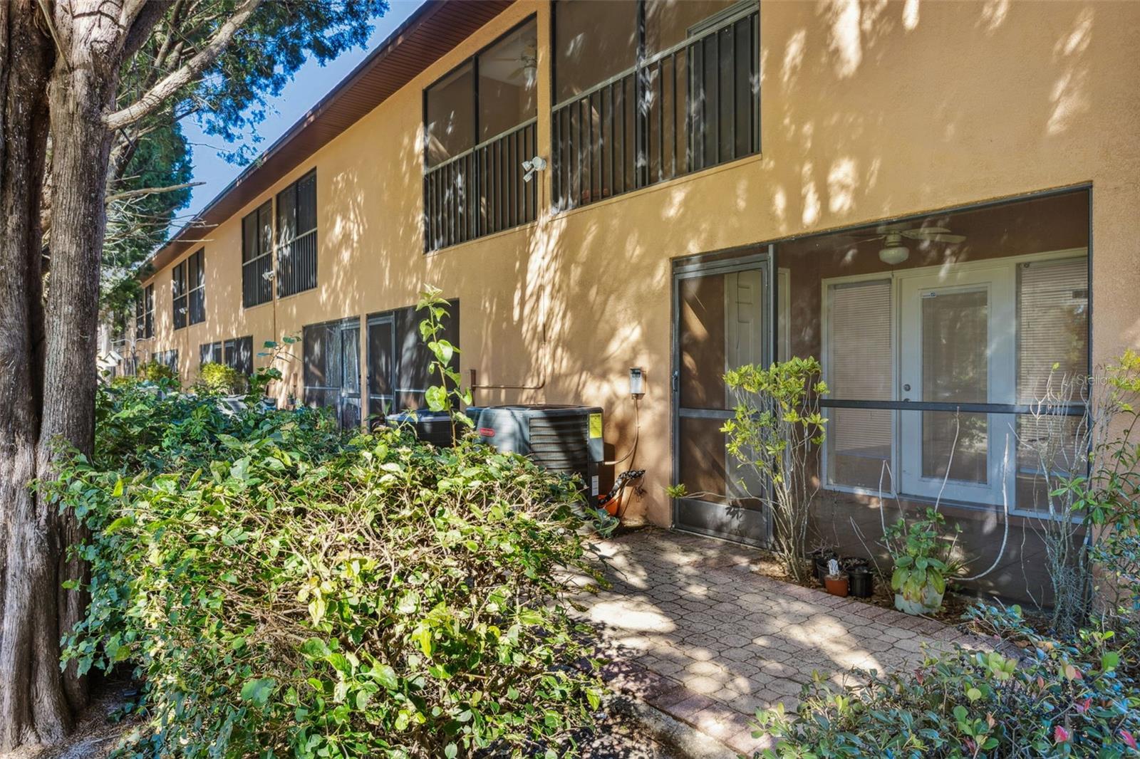 CARROLLWOOD COVE AT EMERALD GR - Residential