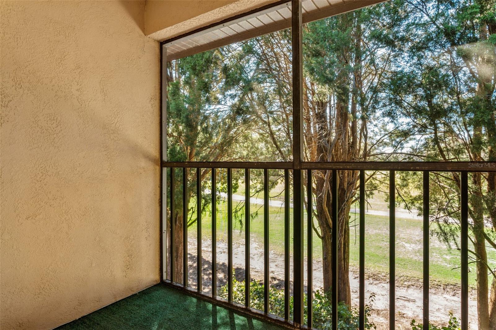 CARROLLWOOD COVE AT EMERALD GR - Residential