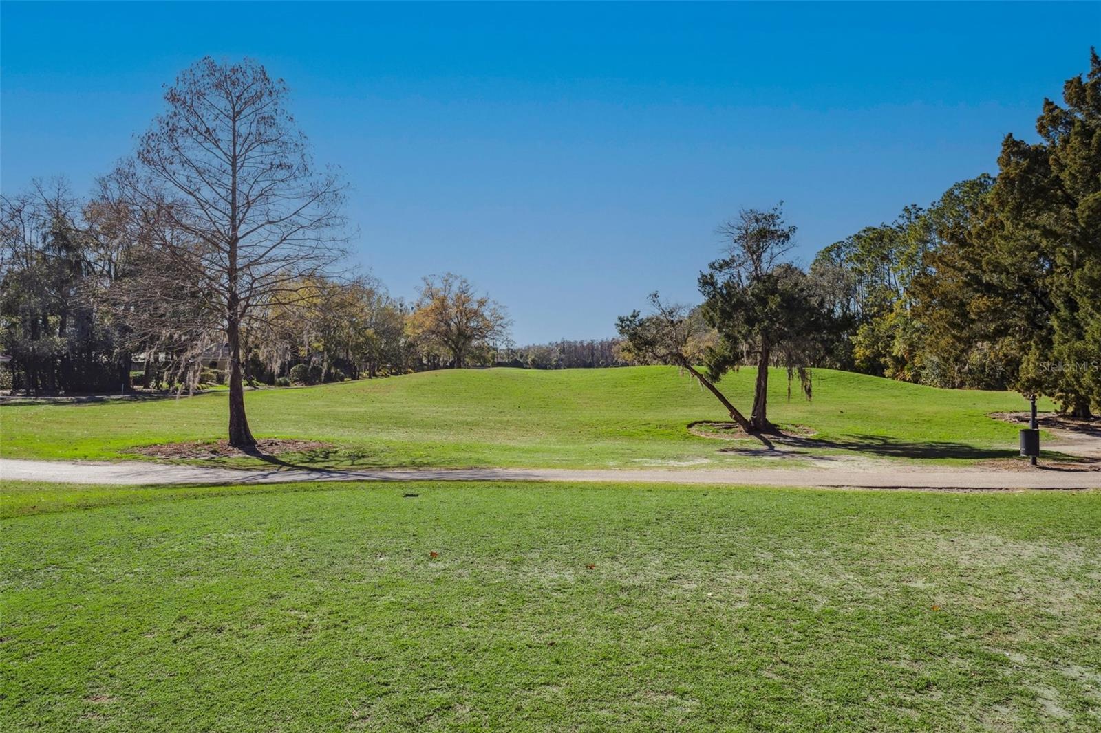 CARROLLWOOD COVE AT EMERALD GR - Residential