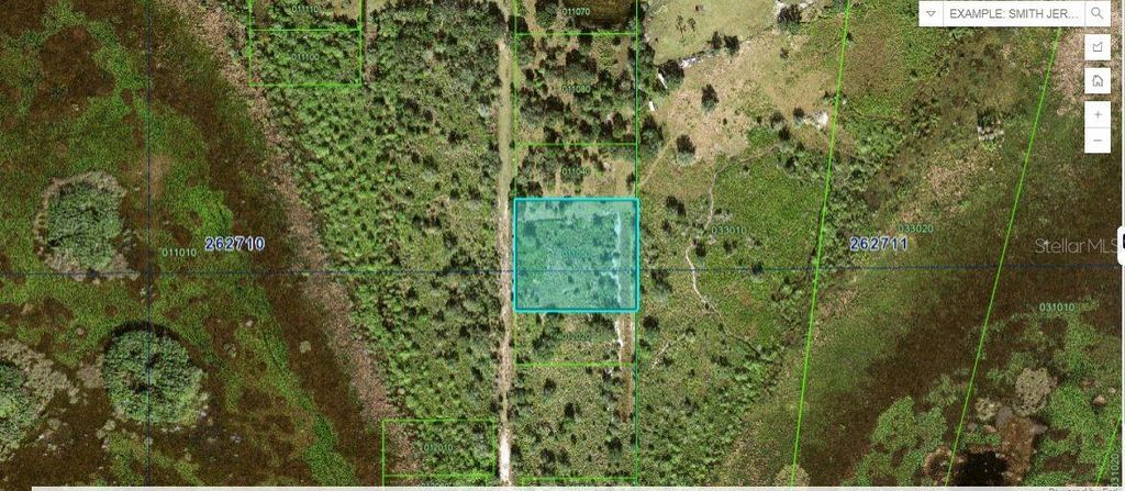 Photo of Old Polk City Rd, Polk City, FL 33868 (MLS # O6266946)