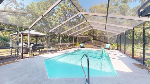 Tiny photo for 307 N Kinglet Avenue, Hernando, FL 34442 (MLS # OM701894)