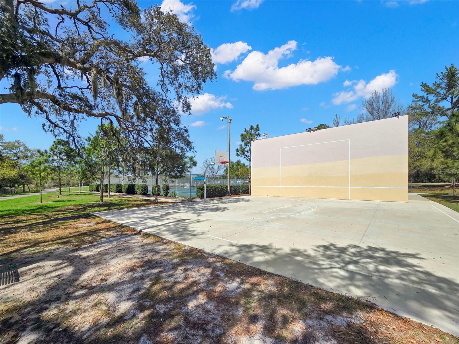 TEMPLE TERRACE - Residential