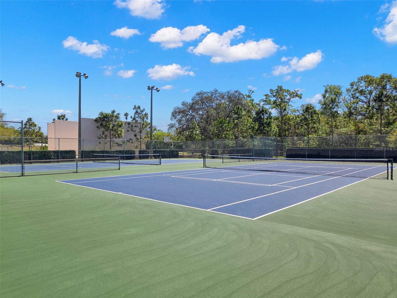 TEMPLE TERRACE - Residential