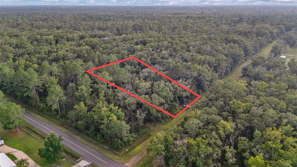 Photo of 4725 Alvin Street, Hastings, FL 32145 (MLS # FC320756)