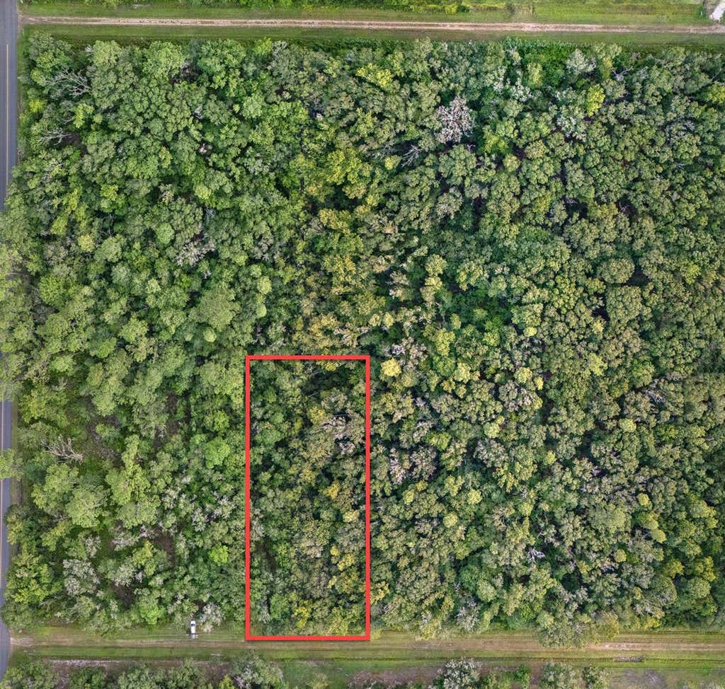 Photo of 4725 Alvin Street, Hastings, FL 32145 (MLS # FC320756)