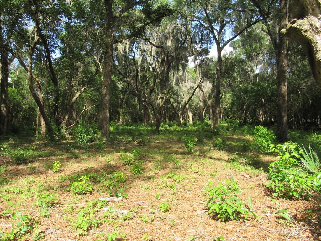 Photo of Oak Valley Drive, Deland, FL 32720 (MLS # V4949282)