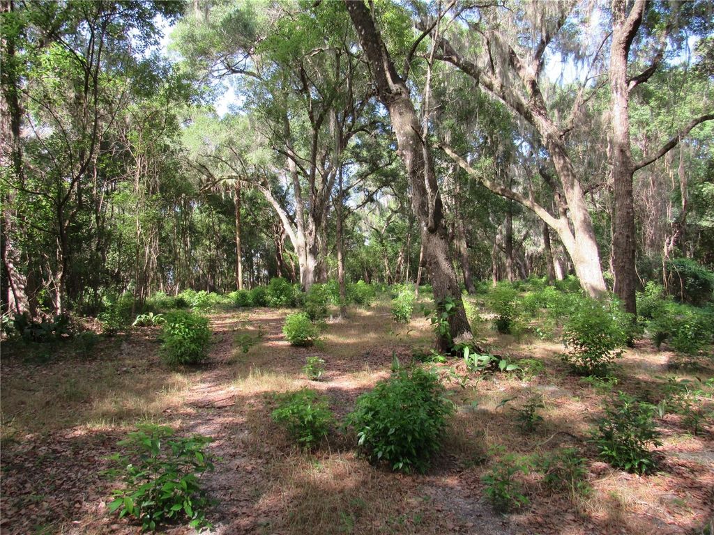 Photo of Oak Valley Drive, Deland, FL 32720 (MLS # V4949282)