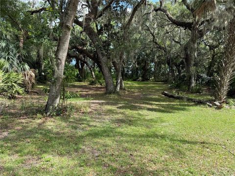 Photo of 5191 E Parsons Point Road, Hernando, FL 34442 (MLS # TB8523233)