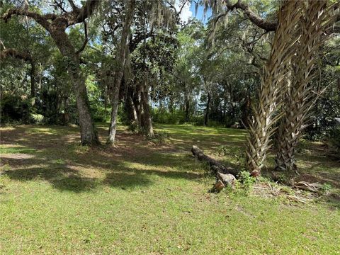 Tiny photo for 5191 E Parsons Point Road, Hernando, FL 34442 (MLS # TB8523233)