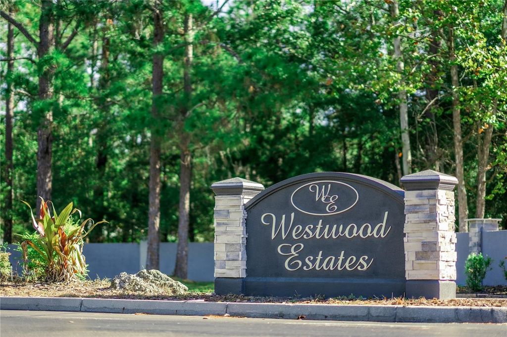 Photo of 8225 Woodleaf Boulevard, Wesley Chapel, FL 33544 (MLS # T3508503)
