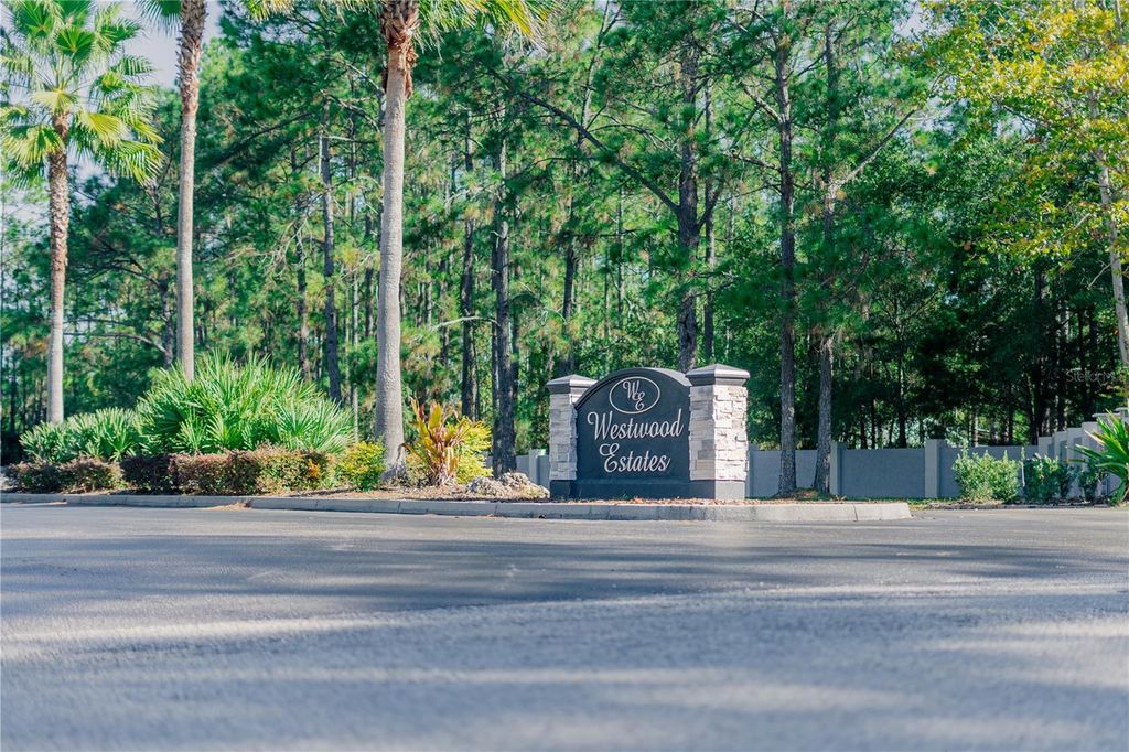 Photo of 8225 Woodleaf Boulevard, Wesley Chapel, FL 33544 (MLS # T3508503)