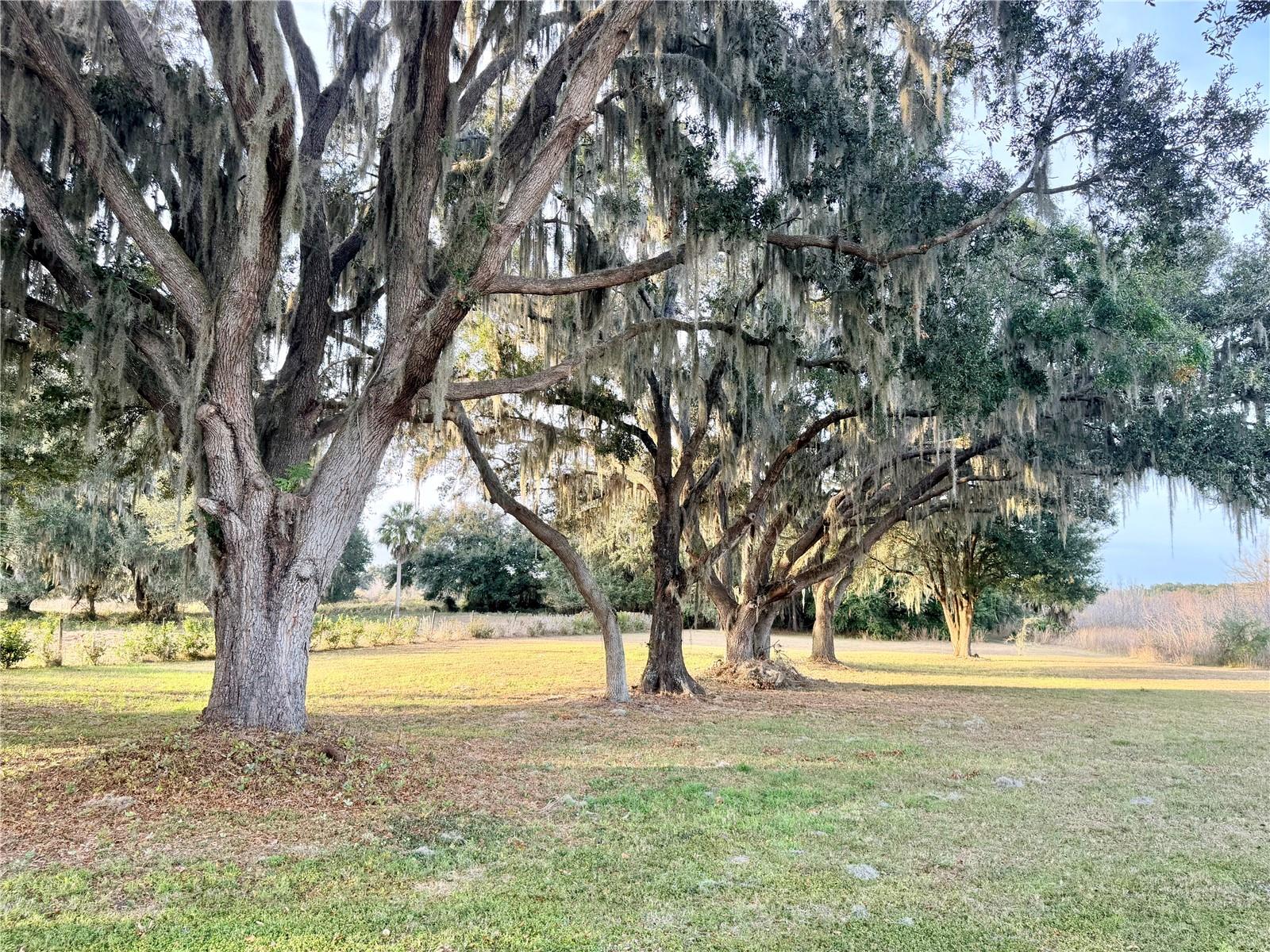 FLORIDA GRANDE MOTOR COACH RESIDENCE - Land