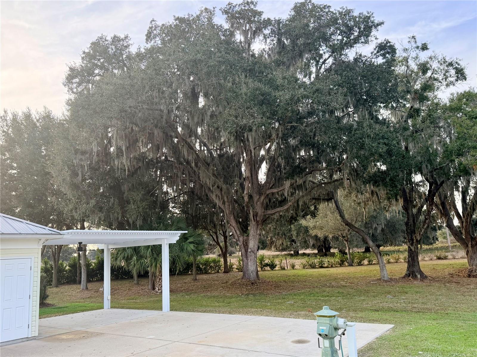 FLORIDA GRANDE MOTOR COACH RESIDENCE - Land