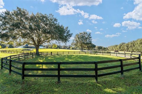 Tiny photo for 901 SW 87th Place, Ocala, FL 34476 (MLS # OM712985)