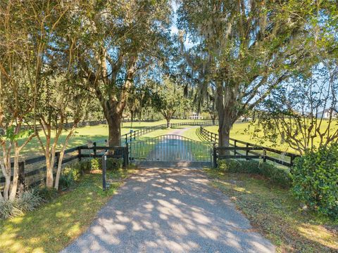 Tiny photo for 901 SW 87th Place, Ocala, FL 34476 (MLS # OM712985)