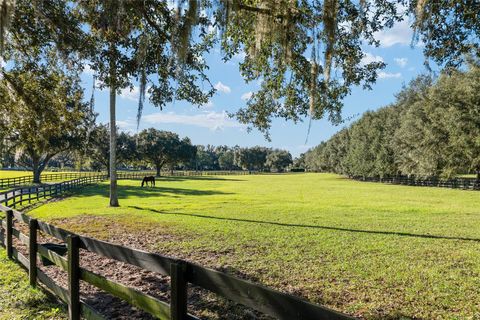 Tiny photo for 901 SW 87th Place, Ocala, FL 34476 (MLS # OM712985)