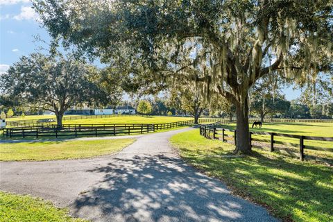 Tiny photo for 901 SW 87th Place, Ocala, FL 34476 (MLS # OM712985)