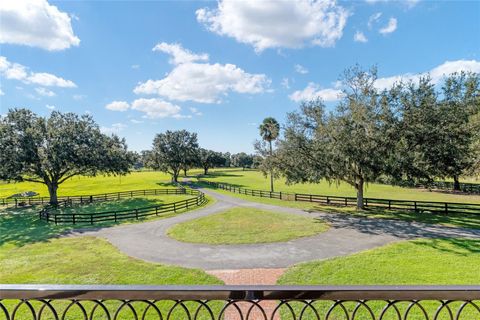 Tiny photo for 901 SW 87th Place, Ocala, FL 34476 (MLS # OM712985)