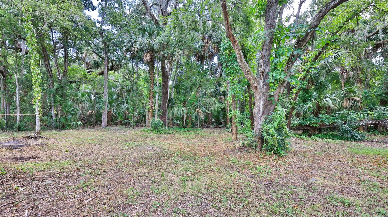 LUPE HULL GRANT - Land