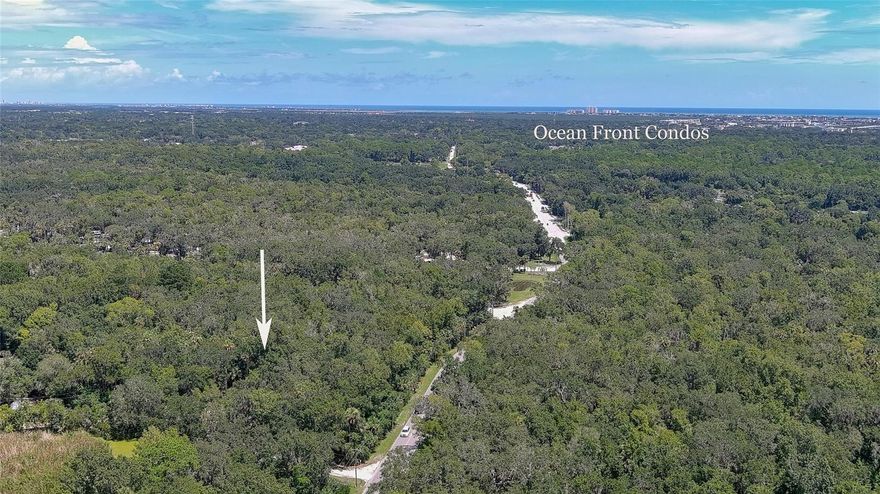 Explore a rare .84-acre vacant lot at 1150 Old Mission Rd in the heart of New Smyrna Beach, just one mile south of SR-44 and about three miles from the beach. This cleared homesite offers a country feel with easy access to shopping, dining, and main routes through town.

The price includes owner plans and a survey for a 2 bedroom, 2 bath home of about 1000 sq ft with a front porch elevated 5 feet. Wetlands protection is approved, the silt fence is installed, and the building area is fully staked. An electric pole is in place and ready for activation, and a paid tree permit allows selective removal. There is also room to add a detached 2 car garage if desired.

With mature trees, a nearby pond, a storage shed, and no HOA, this New Smyrna Beach property offers a flexible and ready-to-build setting where country living meets city convenience.