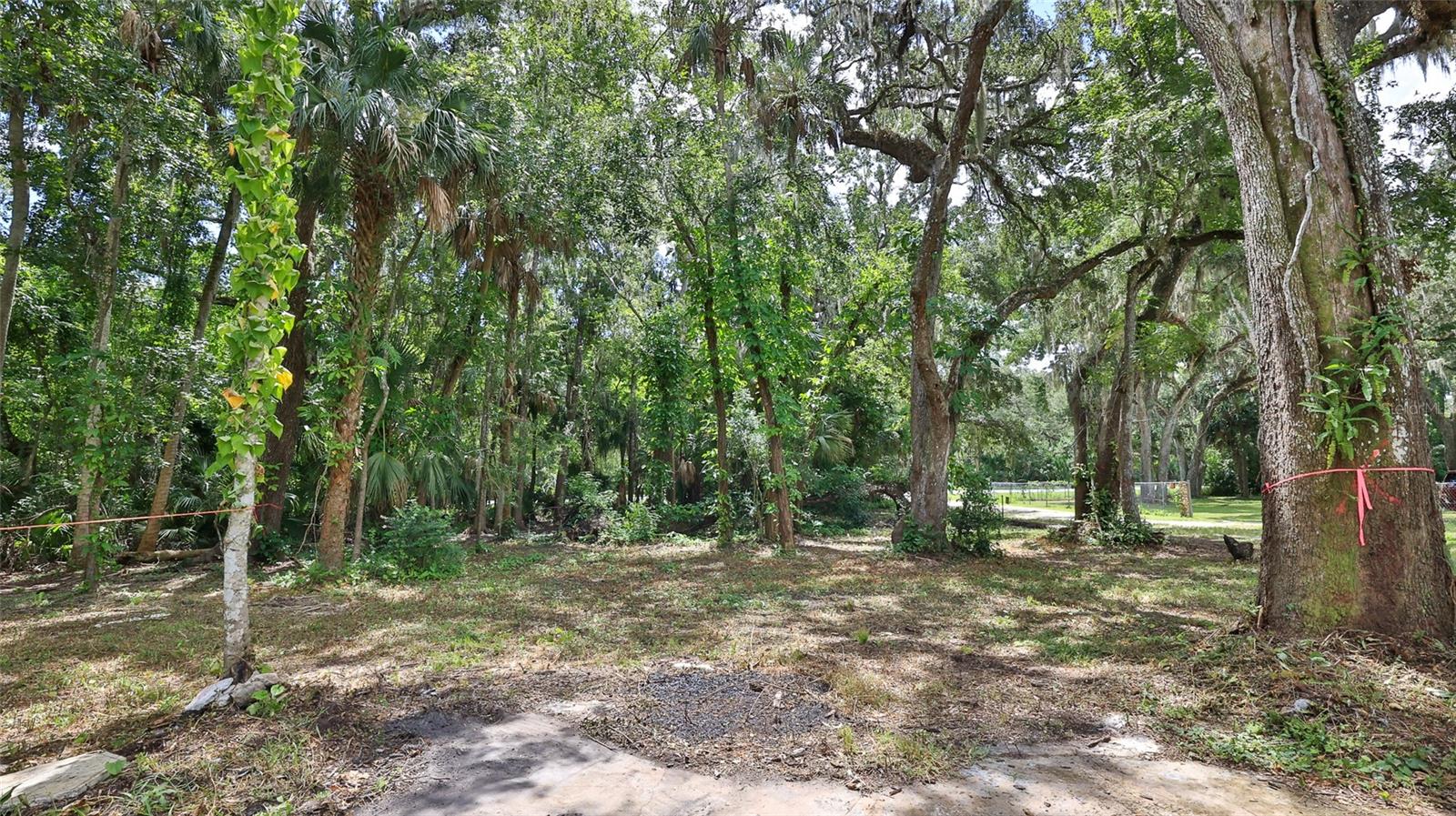 LUPE HULL GRANT - Land