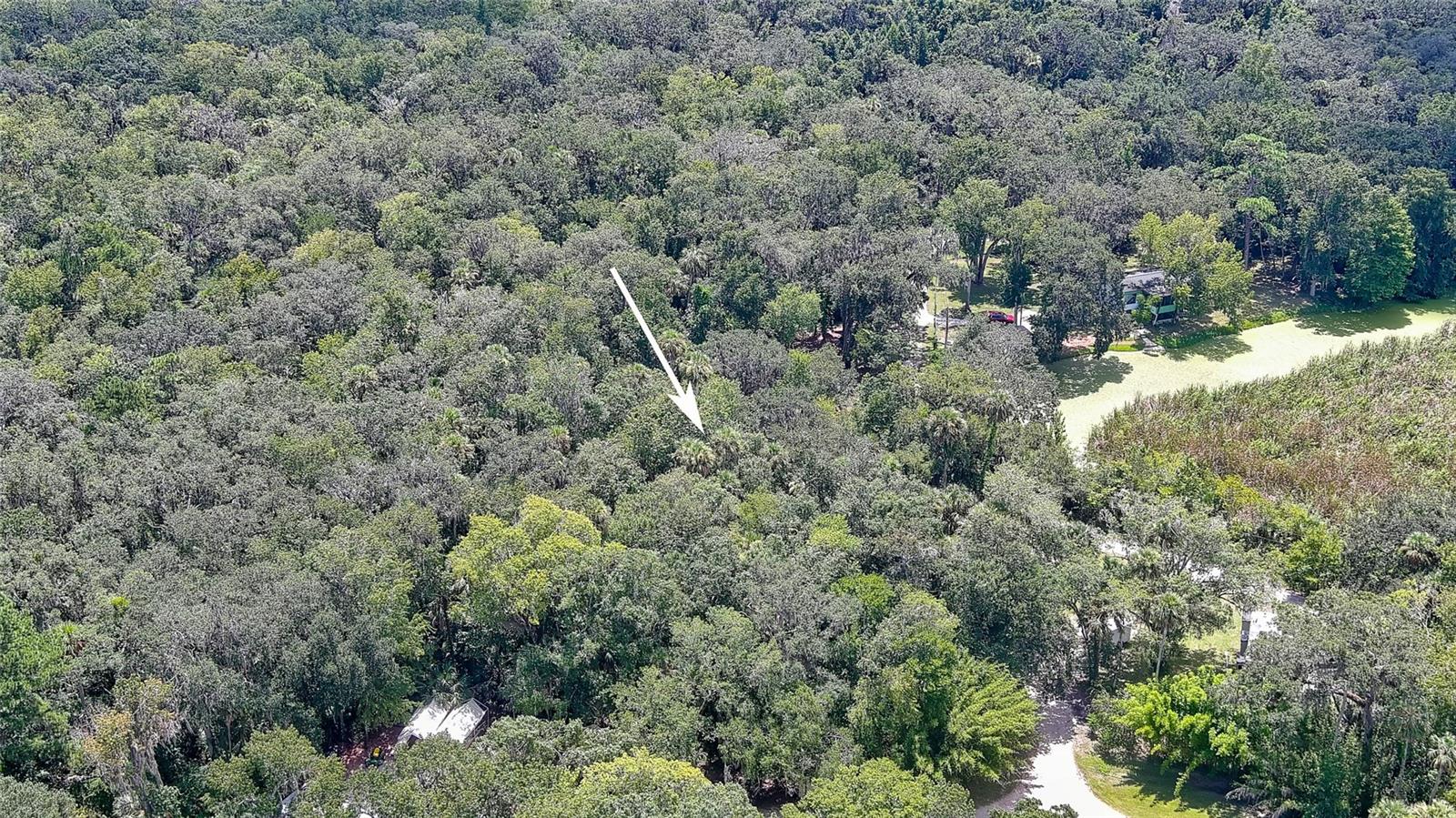 LUPE HULL GRANT - Land