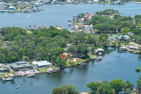 Tiny photo for 381 NW Magnolia Circle, Crystal River, FL 34428 (MLS # OM701789)