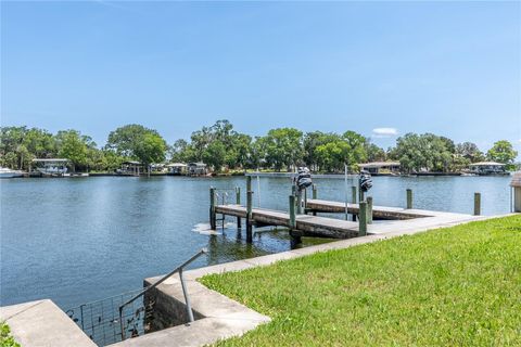 Tiny photo for 381 NW Magnolia Circle, Crystal River, FL 34428 (MLS # OM701789)