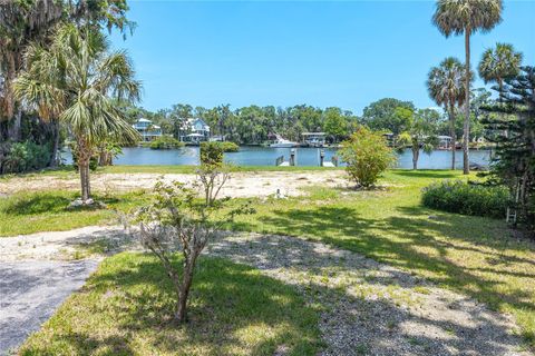 Tiny photo for 381 NW Magnolia Circle, Crystal River, FL 34428 (MLS # OM701789)