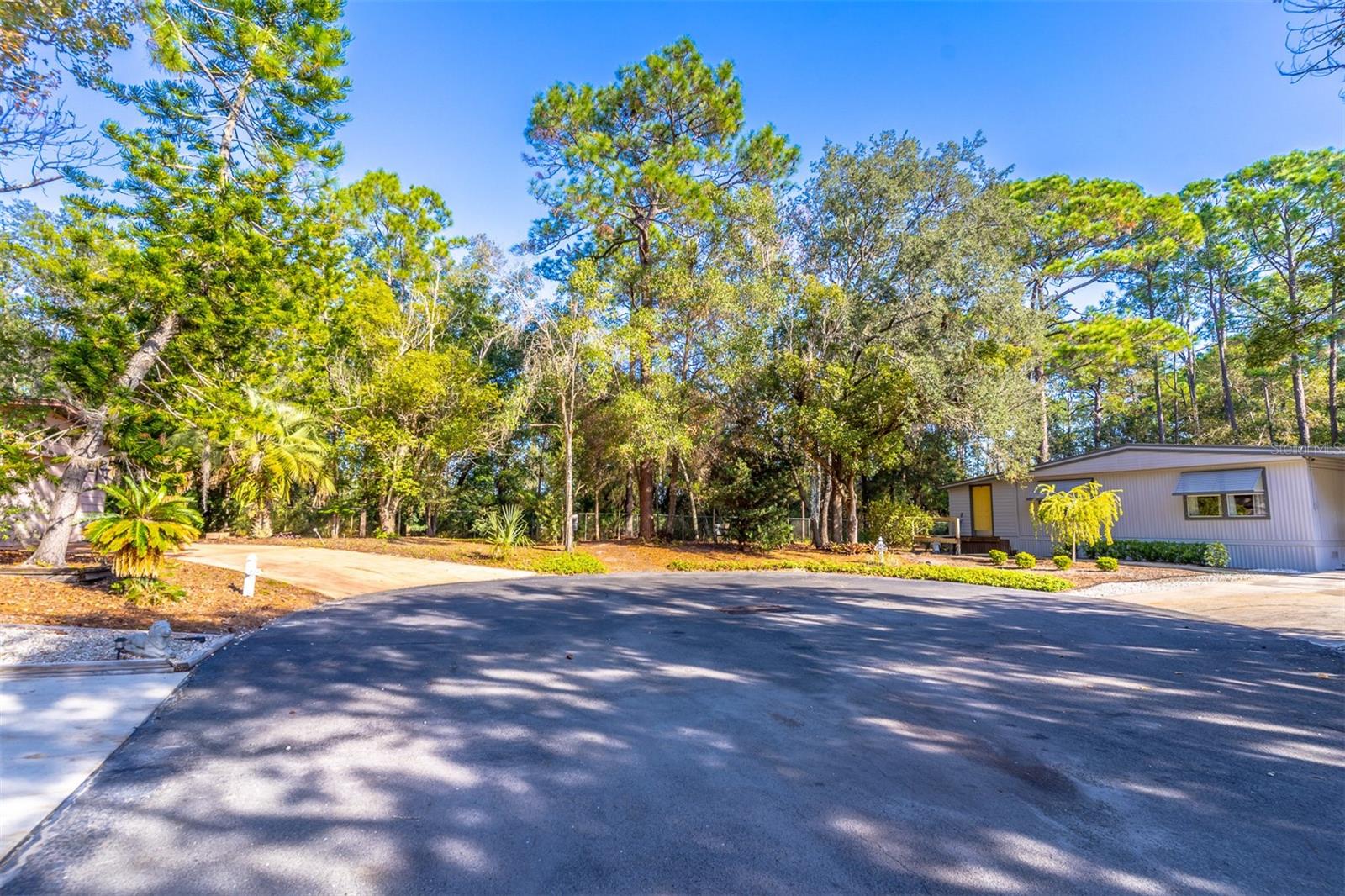 THE FOREST PH TWO - SEC ONE - Residential